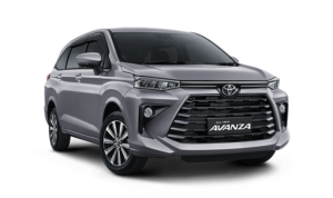 1-avanza-purplish-silver.png